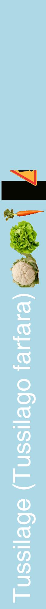 Étiquette de : Tussilago farfara - format a - style blanche0hel avec comestibilité simplifiée