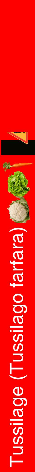 Étiquette de : Tussilago farfara - format a - style blanche27hel avec comestibilité simplifiée