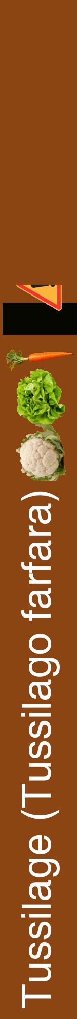 Étiquette de : Tussilago farfara - format a - style blanche30hel avec comestibilité simplifiée