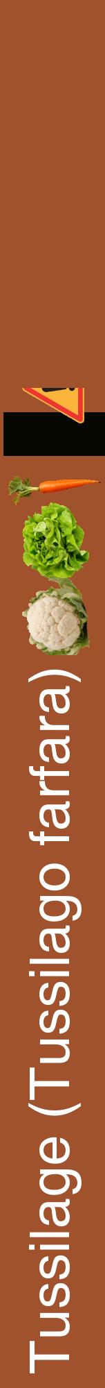 Étiquette de : Tussilago farfara - format a - style blanche32hel avec comestibilité simplifiée
