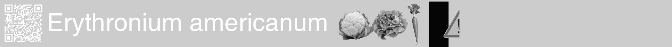 Étiquette de : Erythronium americanum - format a - style blanche0hel avec qrcode et comestibilité simplifiée