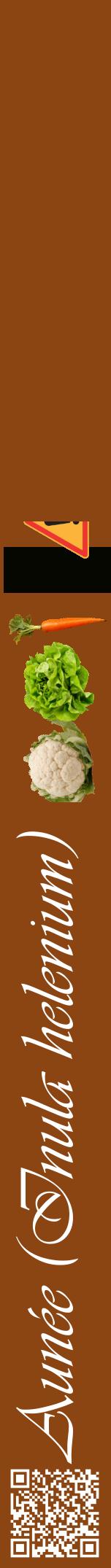 Étiquette de : Inula helenium - format a - style blanche30viv avec qrcode et comestibilité simplifiée