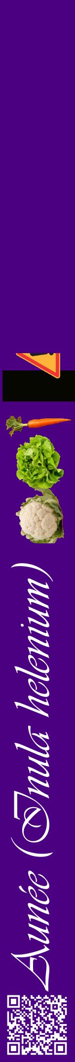 Étiquette de : Inula helenium - format a - style blanche47viv avec qrcode et comestibilité simplifiée