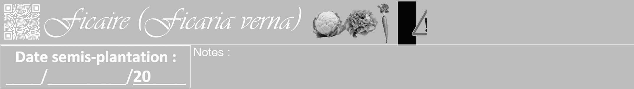 Étiquette de : Ficaria verna - format a - style blanche1viv avec qrcode et comestibilité simplifiée