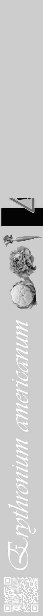 Étiquette de : Erythronium americanum - format a - style blanche0viv avec qrcode et comestibilité simplifiée - position verticale