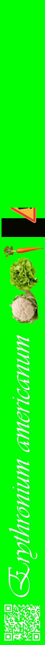 Étiquette de : Erythronium americanum - format a - style blanche16viv avec qrcode et comestibilité simplifiée