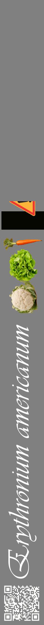 Étiquette de : Erythronium americanum - format a - style blanche57viv avec qrcode et comestibilité simplifiée