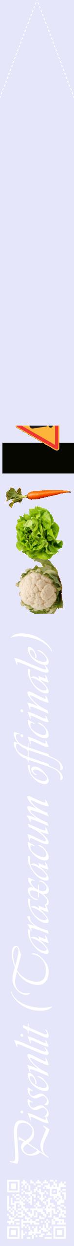 Étiquette de : Taraxacum officinale - format b - style blanche55viv avec qrcode et comestibilité simplifiée