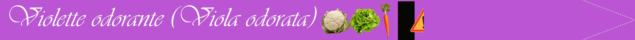 Étiquette de : Viola odorata - format b - style blanche50simpleviv avec comestibilité simplifiée