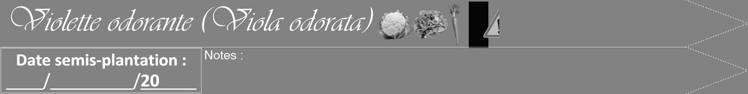 Étiquette de : Viola odorata - format b - style blanche50simpleviv avec comestibilité simplifiée