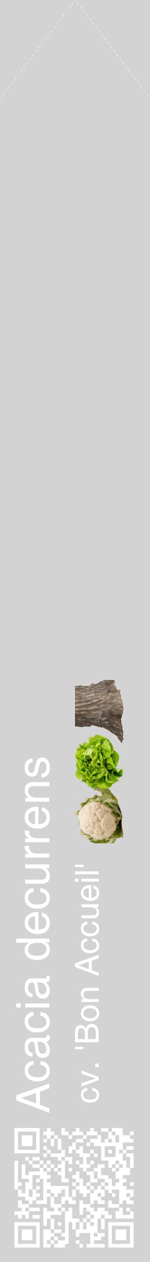 Étiquette de : Acacia decurrens cv. 'Bon Accueil' - format c - style blanche56_simplehel avec qrcode et comestibilité simplifiée