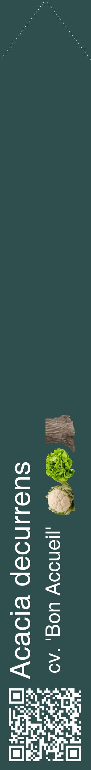 Étiquette de : Acacia decurrens cv. 'Bon Accueil' - format c - style blanche58_simplehel avec qrcode et comestibilité simplifiée