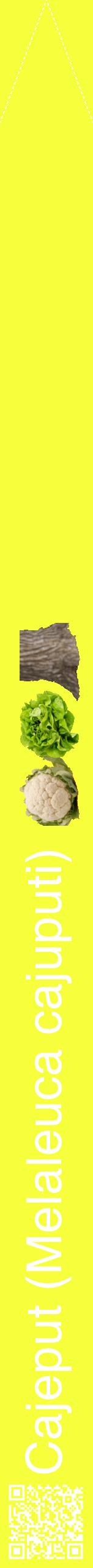 Étiquette de : Melaleuca cajuputi - format b - style blanche18hel avec qrcode et comestibilité simplifiée