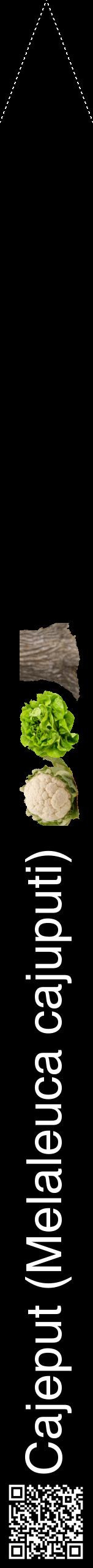 Étiquette de : Melaleuca cajuputi - format b - style blanche59hel avec qrcode et comestibilité simplifiée