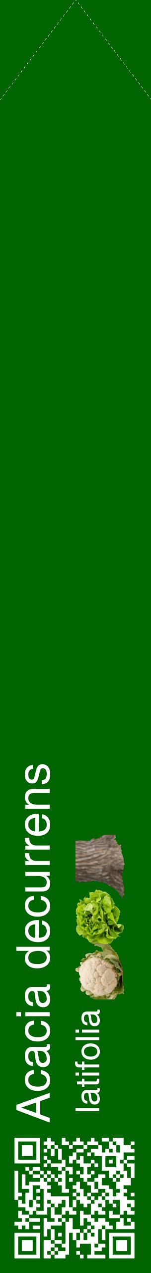 Étiquette de : Acacia decurrens latifolia - format c - style blanche8_simplehel avec qrcode et comestibilité simplifiée
