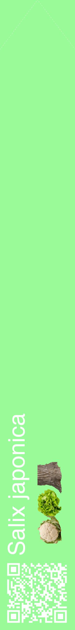 Étiquette de : Salix japonica - format c - style blanche14_simplehel avec qrcode et comestibilité simplifiée