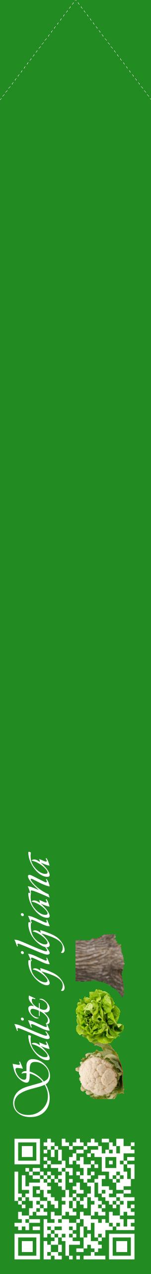 Étiquette de : Salix gilgiana - format c - style blanche10_simpleviv avec qrcode et comestibilité simplifiée