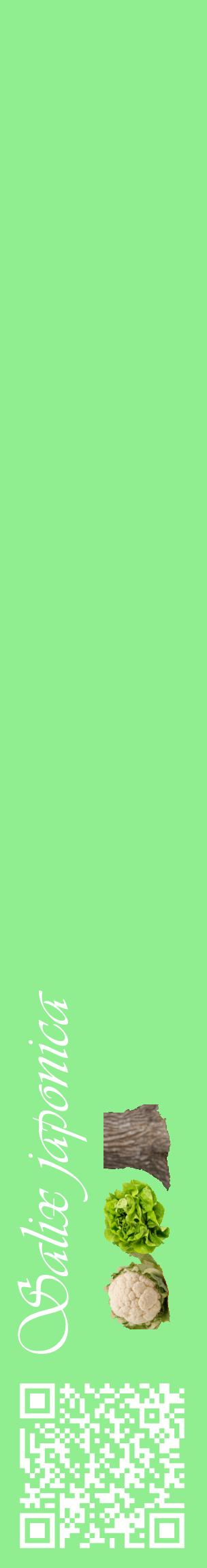 Étiquette de : Salix japonica - format c - style blanche15_basiqueviv avec qrcode et comestibilité simplifiée