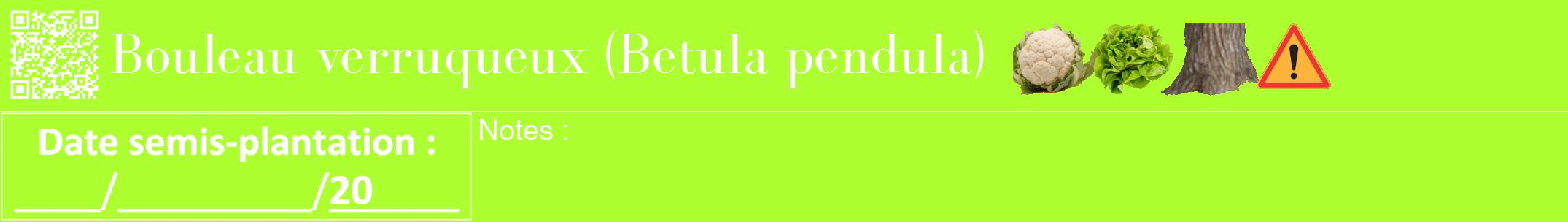 Étiquette de : Betula pendula - format a - style blanche17bod avec qrcode et comestibilité simplifiée