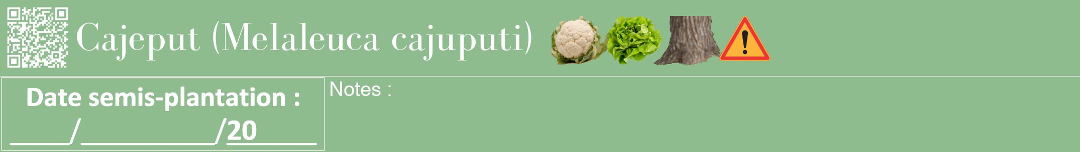 Étiquette de : Melaleuca cajuputi - format a - style blanche13bod avec qrcode et comestibilité simplifiée
