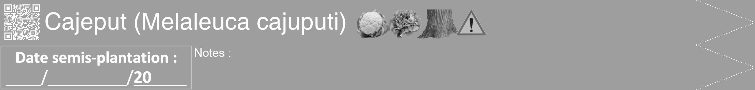 Étiquette de : Melaleuca cajuputi - format b - style blanche42hel avec qrcode et comestibilité simplifiée