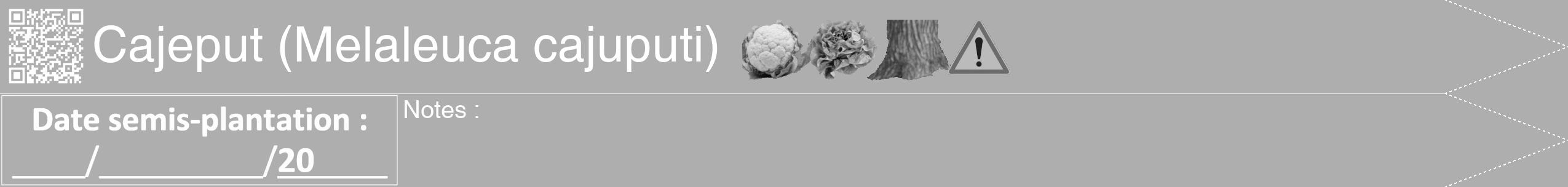Étiquette de : Melaleuca cajuputi - format b - style blanche53hel avec qrcode et comestibilité simplifiée