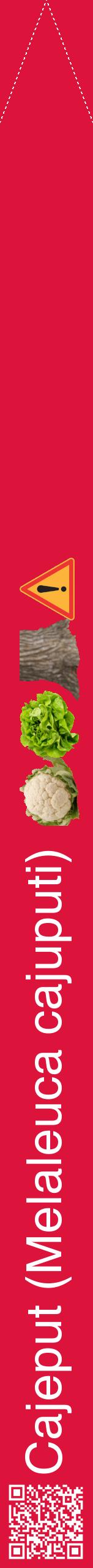 Étiquette de : Melaleuca cajuputi - format b - style blanche36hel avec qrcode et comestibilité simplifiée