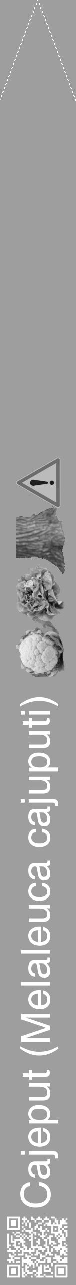 Étiquette de : Melaleuca cajuputi - format b - style blanche42hel avec qrcode et comestibilité simplifiée - position verticale