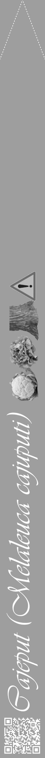 Étiquette de : Melaleuca cajuputi - format b - style blanche23viv avec qrcode et comestibilité simplifiée - position verticale