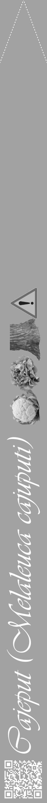 Étiquette de : Melaleuca cajuputi - format b - style blanche38viv avec qrcode et comestibilité simplifiée - position verticale