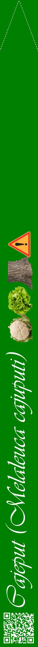 Étiquette de : Melaleuca cajuputi - format b - style blanche9viv avec qrcode et comestibilité simplifiée