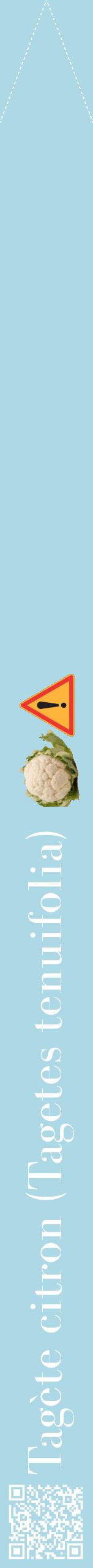 Étiquette de : Tagetes tenuifolia - format b - style blanche0bod avec qrcode et comestibilité simplifiée