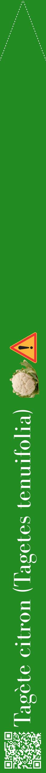 Étiquette de : Tagetes tenuifolia - format b - style blanche10bod avec qrcode et comestibilité simplifiée