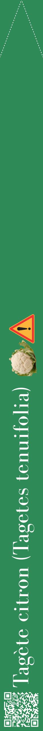 Étiquette de : Tagetes tenuifolia - format b - style blanche11bod avec qrcode et comestibilité simplifiée