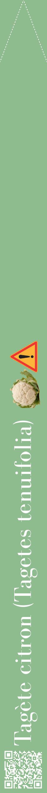 Étiquette de : Tagetes tenuifolia - format b - style blanche13bod avec qrcode et comestibilité simplifiée