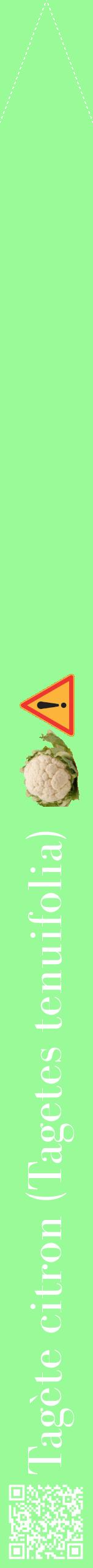 Étiquette de : Tagetes tenuifolia - format b - style blanche14bod avec qrcode et comestibilité simplifiée