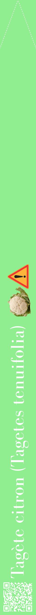 Étiquette de : Tagetes tenuifolia - format b - style blanche15bod avec qrcode et comestibilité simplifiée
