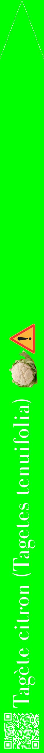 Étiquette de : Tagetes tenuifolia - format b - style blanche16bod avec qrcode et comestibilité simplifiée