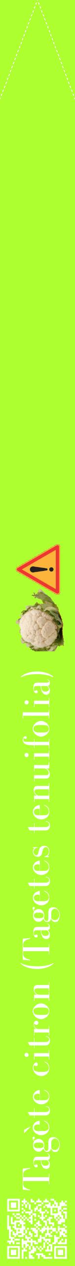 Étiquette de : Tagetes tenuifolia - format b - style blanche17bod avec qrcode et comestibilité simplifiée