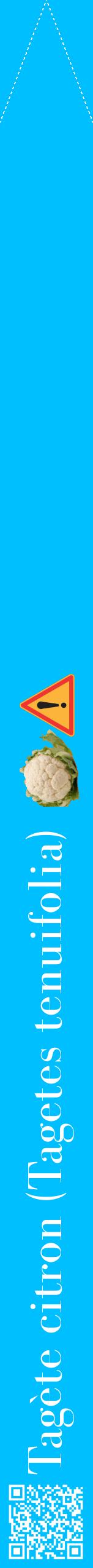 Étiquette de : Tagetes tenuifolia - format b - style blanche2bod avec qrcode et comestibilité simplifiée