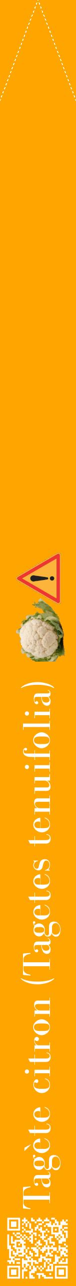 Étiquette de : Tagetes tenuifolia - format b - style blanche22bod avec qrcode et comestibilité simplifiée