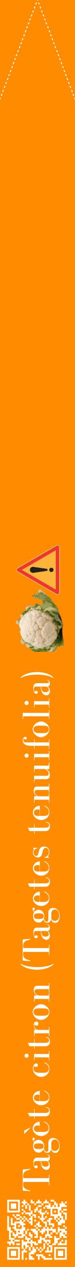 Étiquette de : Tagetes tenuifolia - format b - style blanche23bod avec qrcode et comestibilité simplifiée