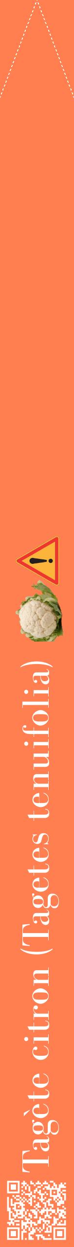 Étiquette de : Tagetes tenuifolia - format b - style blanche24bod avec qrcode et comestibilité simplifiée