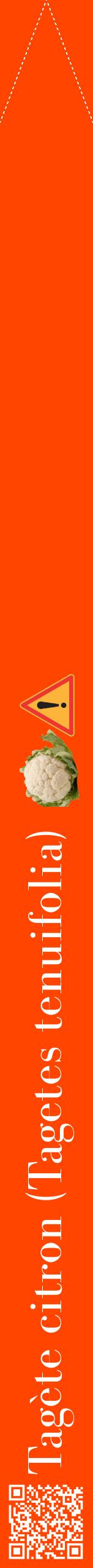 Étiquette de : Tagetes tenuifolia - format b - style blanche26bod avec qrcode et comestibilité simplifiée