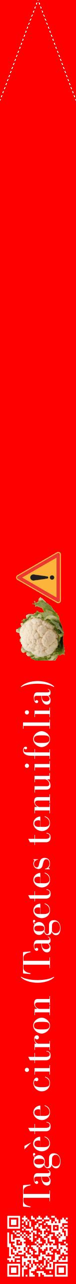 Étiquette de : Tagetes tenuifolia - format b - style blanche27bod avec qrcode et comestibilité simplifiée