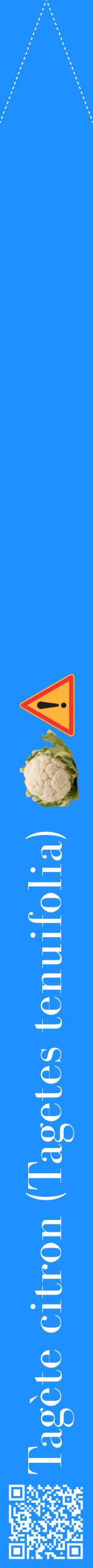 Étiquette de : Tagetes tenuifolia - format b - style blanche3bod avec qrcode et comestibilité simplifiée