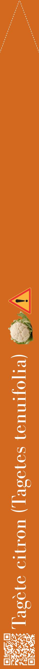 Étiquette de : Tagetes tenuifolia - format b - style blanche31bod avec qrcode et comestibilité simplifiée