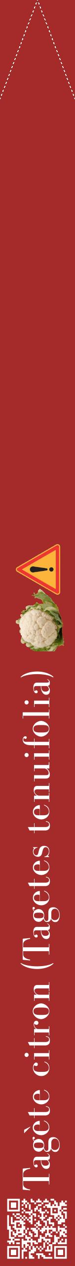 Étiquette de : Tagetes tenuifolia - format b - style blanche33bod avec qrcode et comestibilité simplifiée