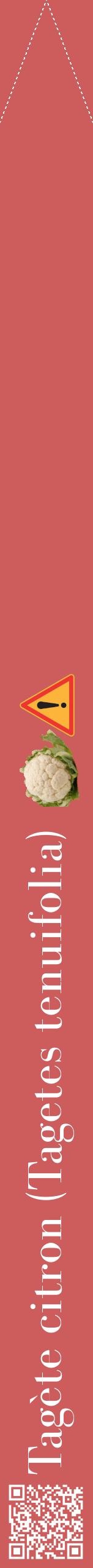 Étiquette de : Tagetes tenuifolia - format b - style blanche35bod avec qrcode et comestibilité simplifiée