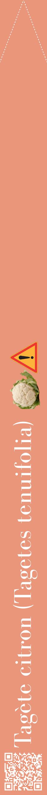 Étiquette de : Tagetes tenuifolia - format b - style blanche37bod avec qrcode et comestibilité simplifiée